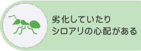 劣化していたりシロアリの心配がある